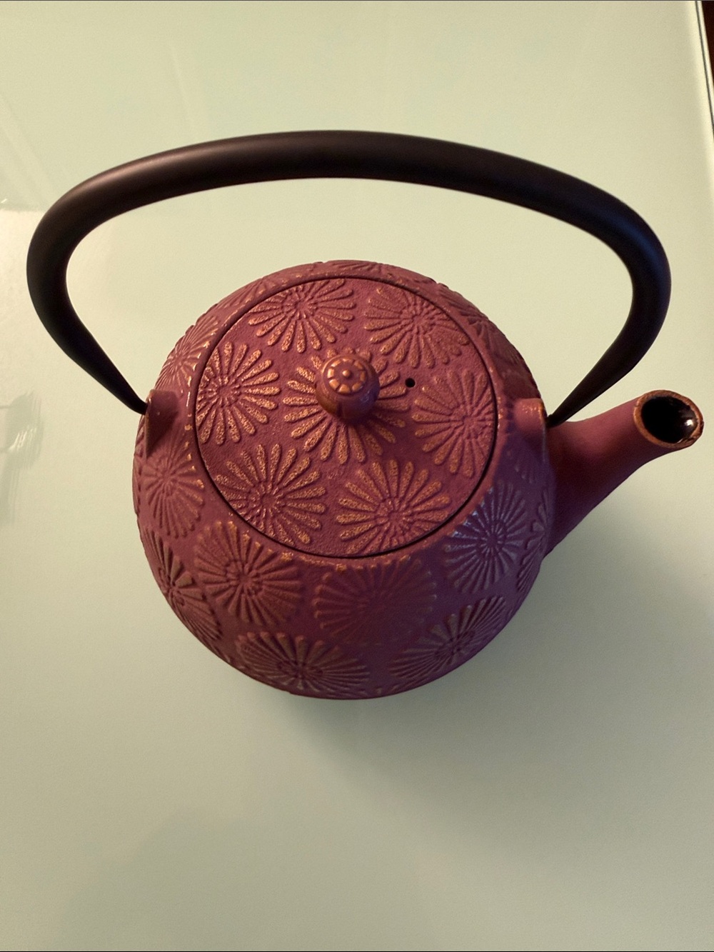 Textured Plum Cast Iron Teapot with Black Handle